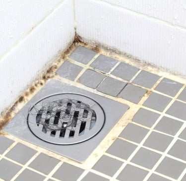 hairs accumulated on drain cover