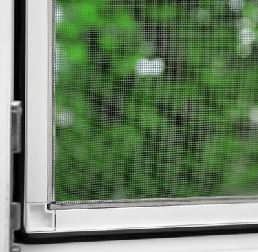a mesh screen mounted on window