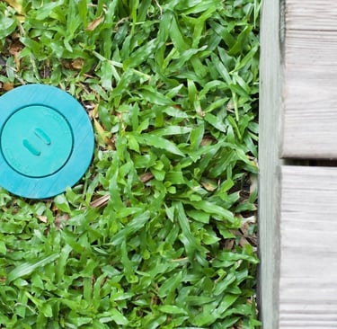 an in-ground termite bait station