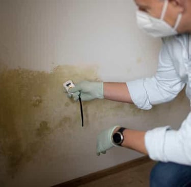 Professional mold inspector using a moisture meter to test a damp wall for toxic black mold growth.