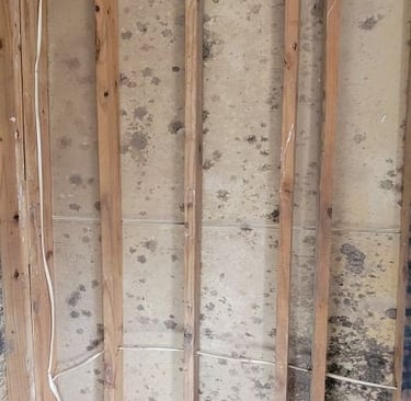Mold discovered inside wall cavity