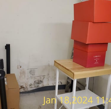 Mold growth on wall