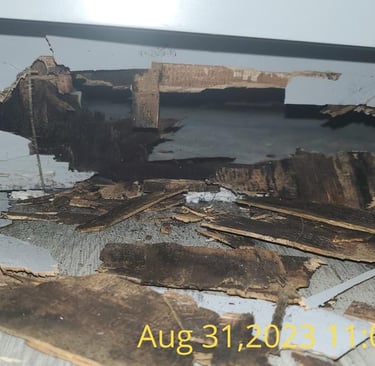 Severe water damage and wood rot on a structural floor joist beneath a gray wall.