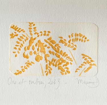 Feuillage lumière contraste gravure tetrapak