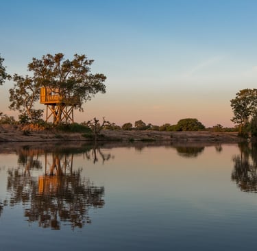 Outside the treehouse Umlani Bush Camp Timbavati South Africa