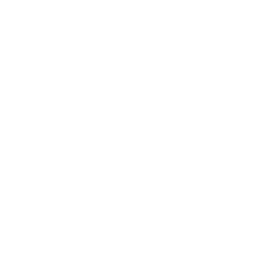 chimney inspection icon