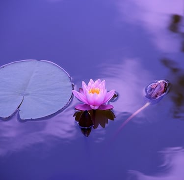 Yoga Para Equilibrio Emocional