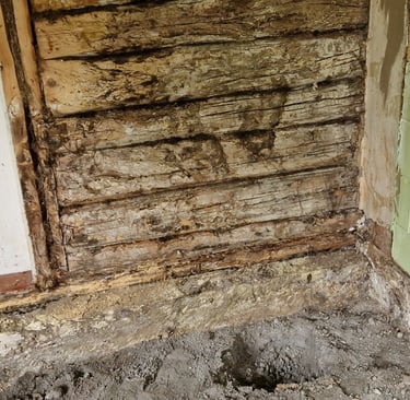 Kada medžio grybas Trobagrybis labiausiai suaktyvėja?