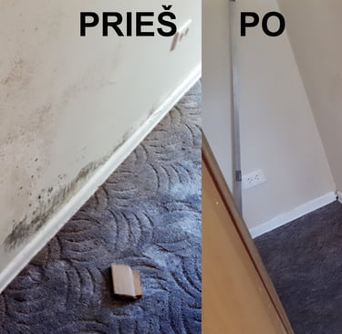 Pelesio naikinimo paslaugos, pelesio naikinimo darbai, pelesio naikinimo imone,