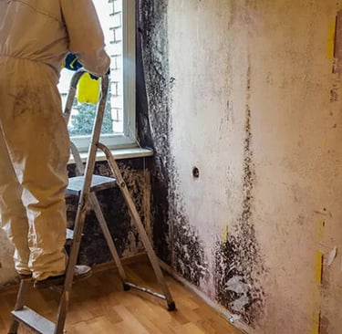 Pelesio naikinimo imone, pelesio valymo imone, pelesio salinimo imone, pelesio naikinimo paslaugos