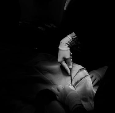 Medžio grybo Trobagrybio sukeliamos lygos, pasekmes