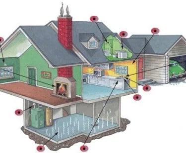 Pastebetos vietos kuriose dazniausiai aptinkamas pelesis