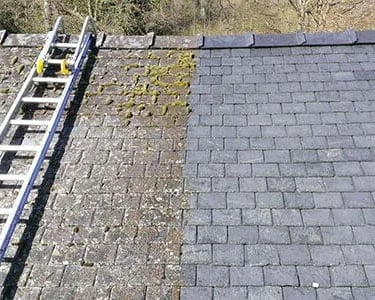 Naikiname, šaliname, valome sąmanas, dumblius, kerpes nuo stogų bituminių ir čerpių, fasadų-sienų