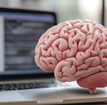 a brain map of a brain map of a brain