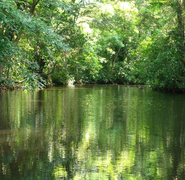 cosa vedere a Tortuguero - fiume navigabile