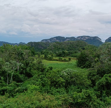 La Valle di Vinales