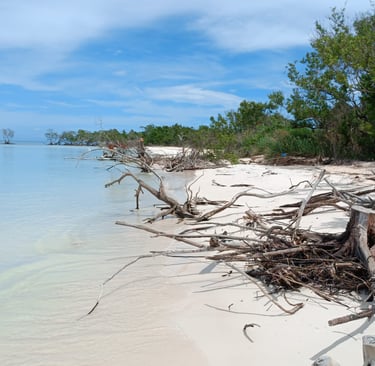 Spiaggia incontaminata di Cayo Jutias a Cuba