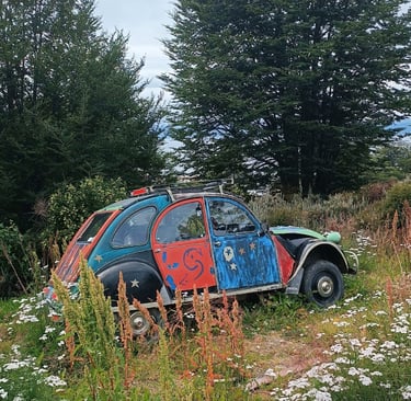 Cosa vedere a Punta Arenas