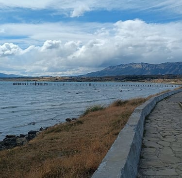 Cosa vedere a Puerto Natales