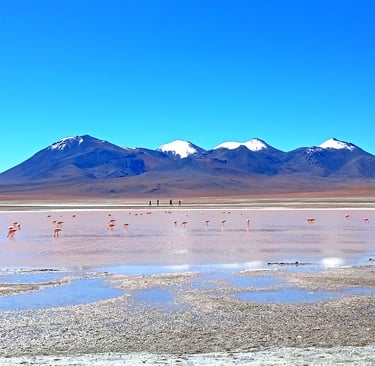 Bolivia fai-da-te