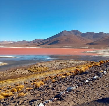Laguna Colorada Bolivia