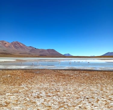 Quanto costa un tour nel salar de uyuni