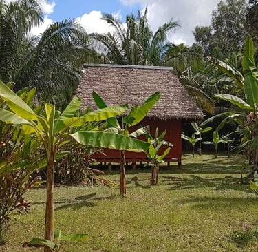 dove si dorme durante un tour in Amazzonia