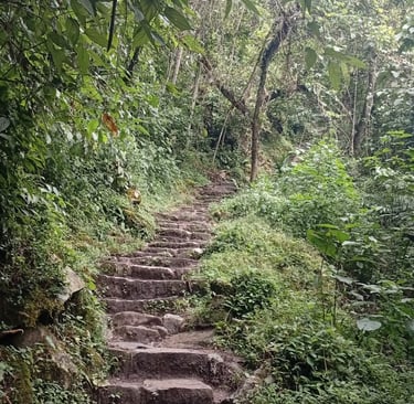 Scalinate per raggiungere le rovine di Machu Picchu