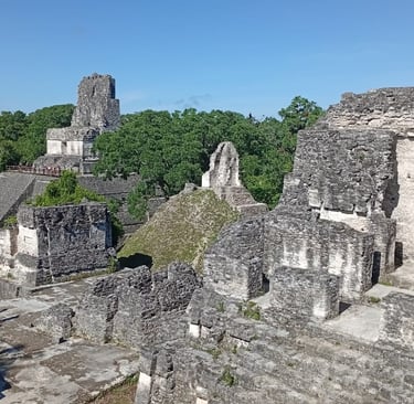 Rovine di Tikal - cosa vedere a Flores