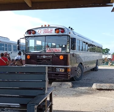 Bus pubblici in Belize