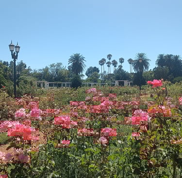 cosa vedere a Buenos Aires - Parque Tres de Febrero