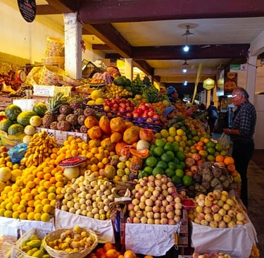 Cosa vedere a Santa Cruz de la Sierra