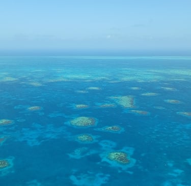 Barriera corallina del Belize vista dall'alto