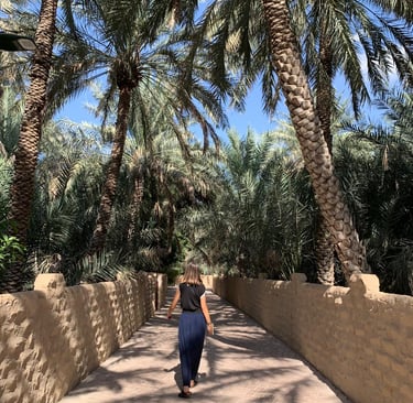 Oasi di Al Ain negli Emirati Arabi