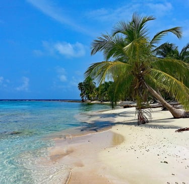 Cosa vedere alle Isole San Blas