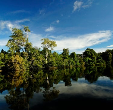 Amazzonia Ecuadoriana cosa fare