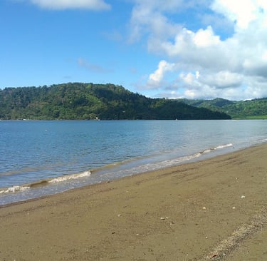 Cosa fare a Puerto Jimenez