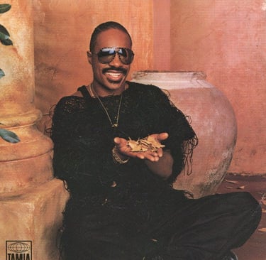 Stevie Wonder In Square Circle album inside