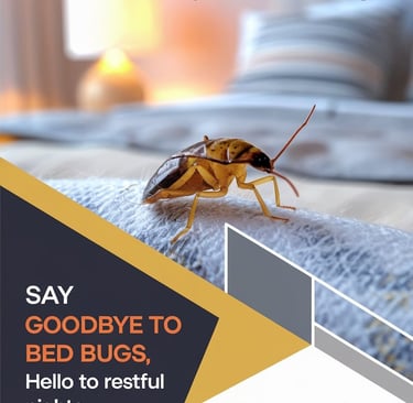 Professional Bed Bugs Control Services in Mumbai by Skupa Pest Control – Safe and Effective Bed Bug 