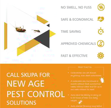 Cockroach and Ants Control Services in Mumbai – Skupa Pest Control’s Safe and Effective Pest Solutio