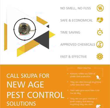 Rodent Control Services in Mumbai by Skupa Pest Control – Reliable Rat and Mouse Removal Solutions
