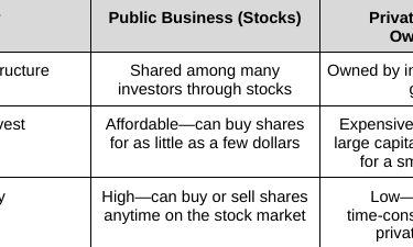 Compares public vs private business ownership, cost to invest, and liquidity. 