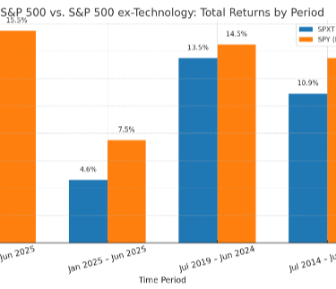Chart compares S&P500 returns with and without technology stocks 