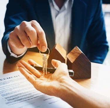 nt agentura paveldejimas