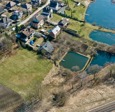 Nevronys iš paukščio skrydžio