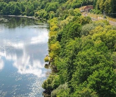 Vaišvydavos karjeras