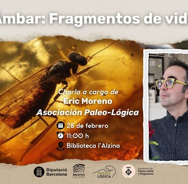 ámbar fragmentos de vida