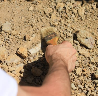 Fósiles de dinosaurios en España. Pirineos. Actividades para socios