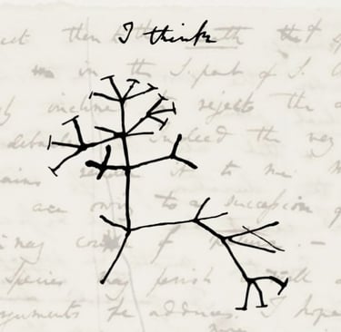 evolución superprogenitores