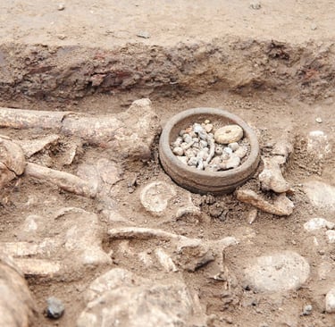 Origen de la paleontología